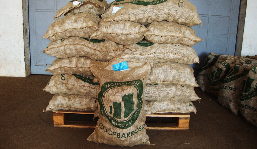 Brevemente - Batata de Semente Certificada - Image 2